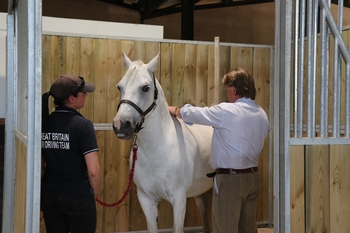 Book your pony on our FEI Pony Measuring Day on 1 March 2023 at our National Training Centre 